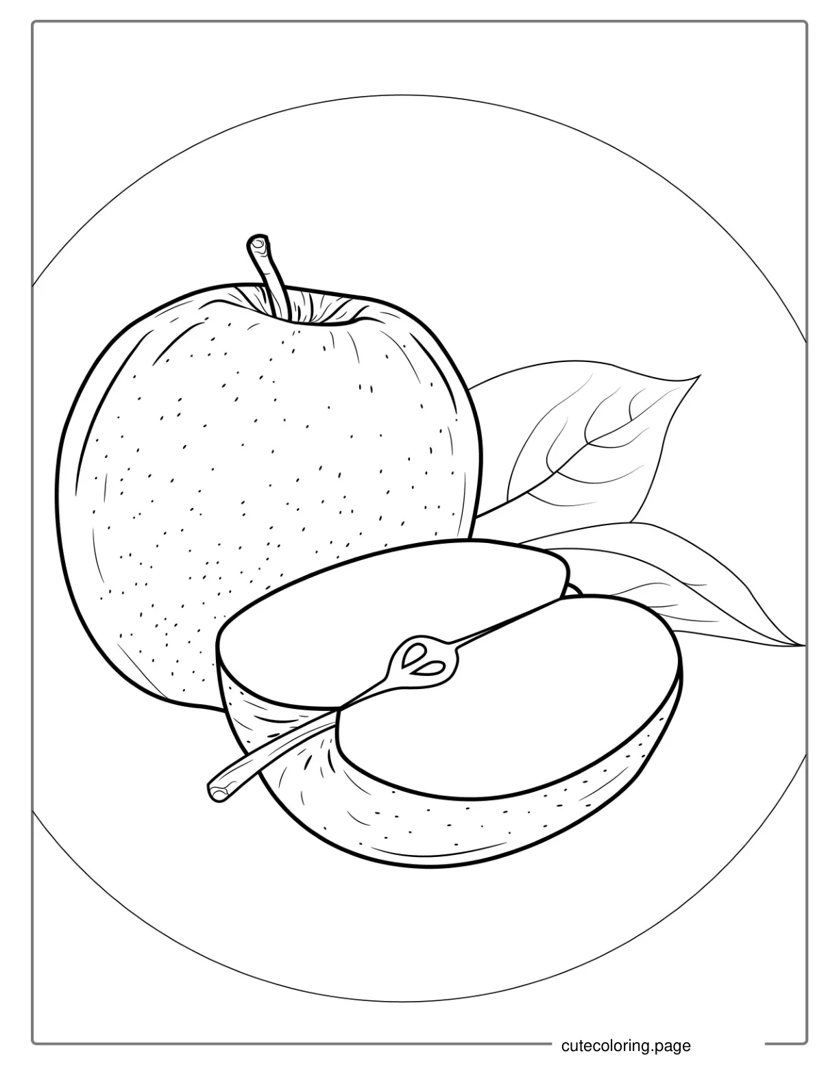 Delicious Honey Crisp Apple Coloring Page coloring page