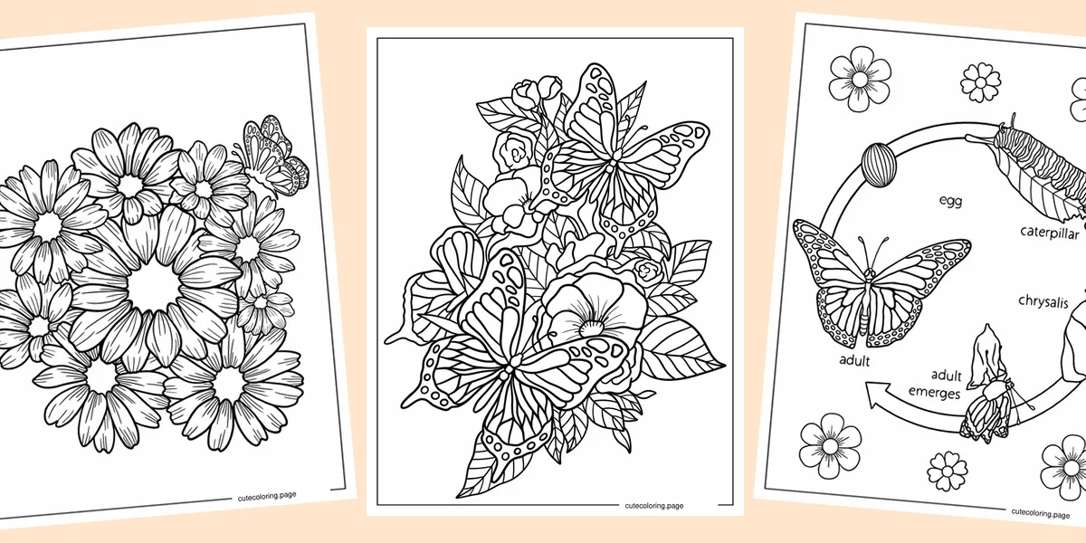 butterfly-coloring-pages