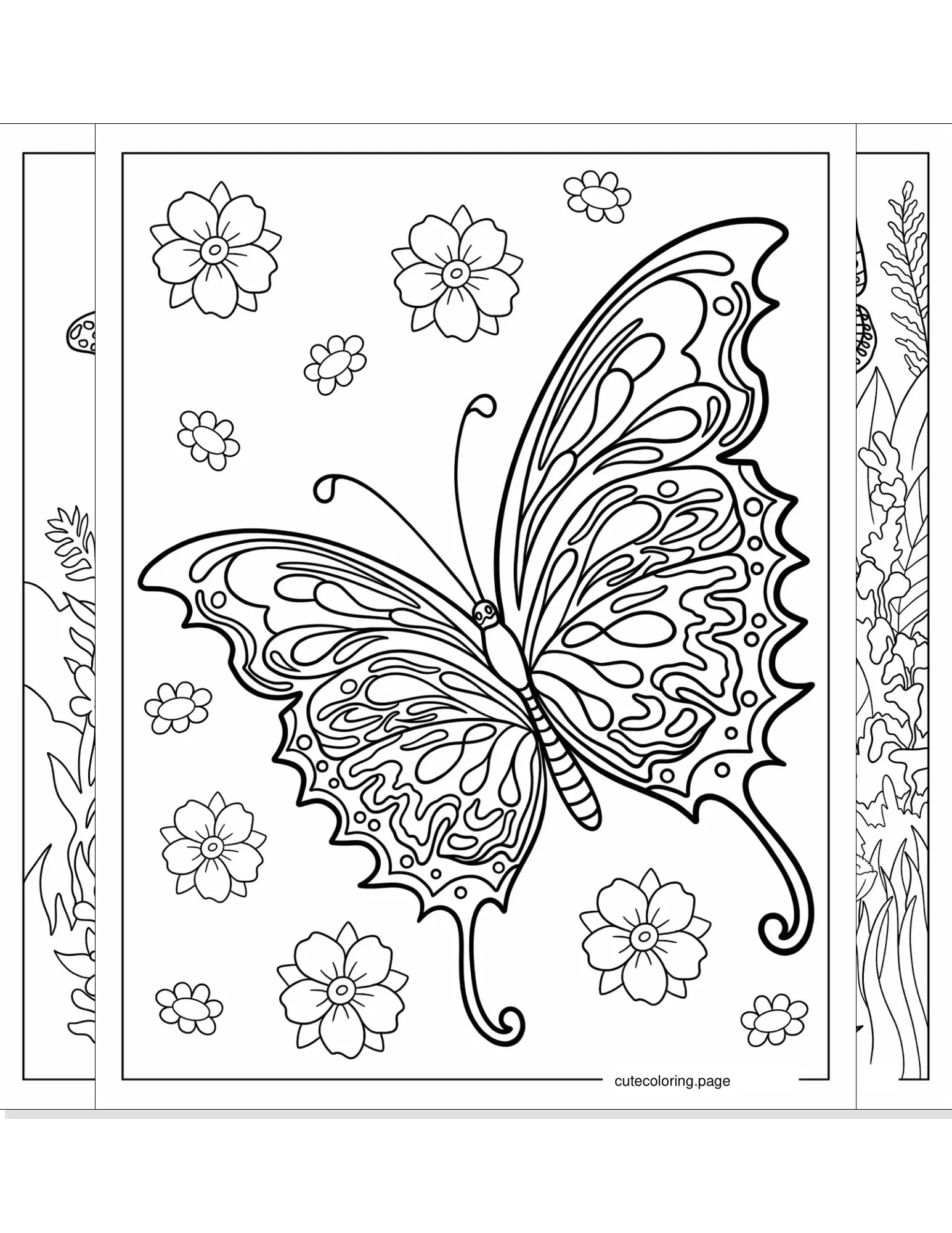 butterfly coloring pages coloring page