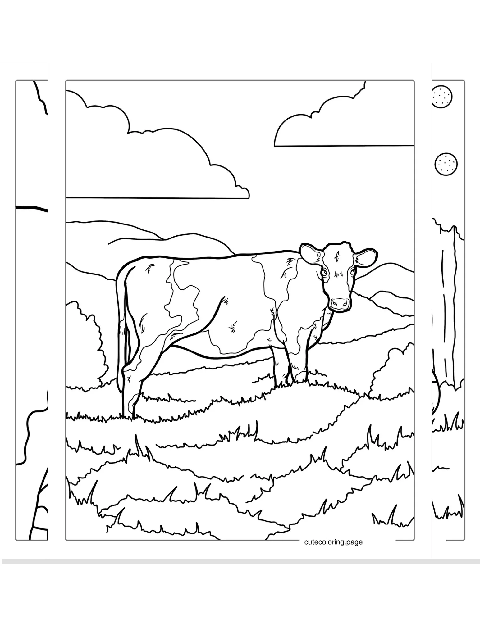 cow coloring pages coloring page