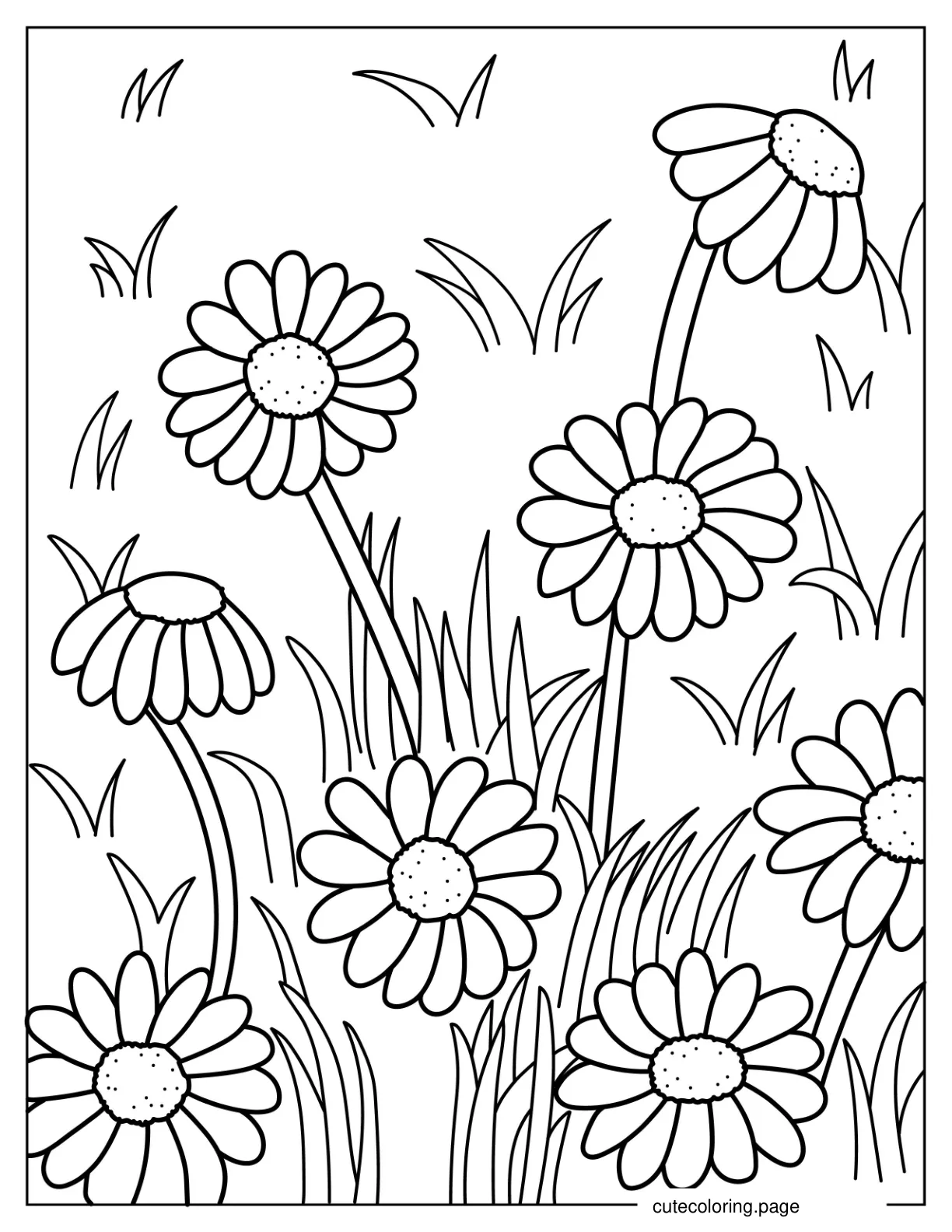 Daisies In a Field Of Grass coloring page