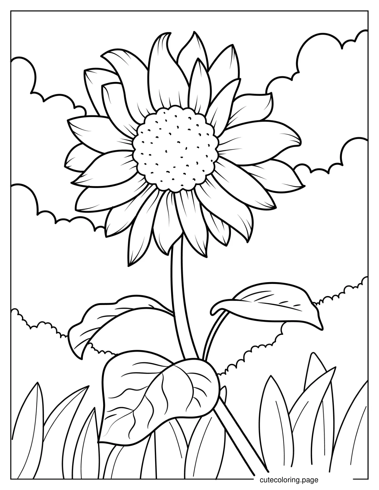 Daisy Flower Coloring Page For Kids coloring page