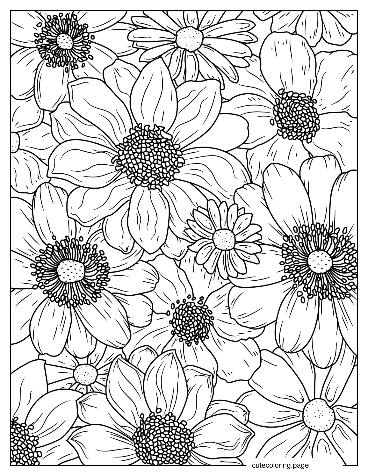 Full Page Of Detailed Daisies To Color coloring page