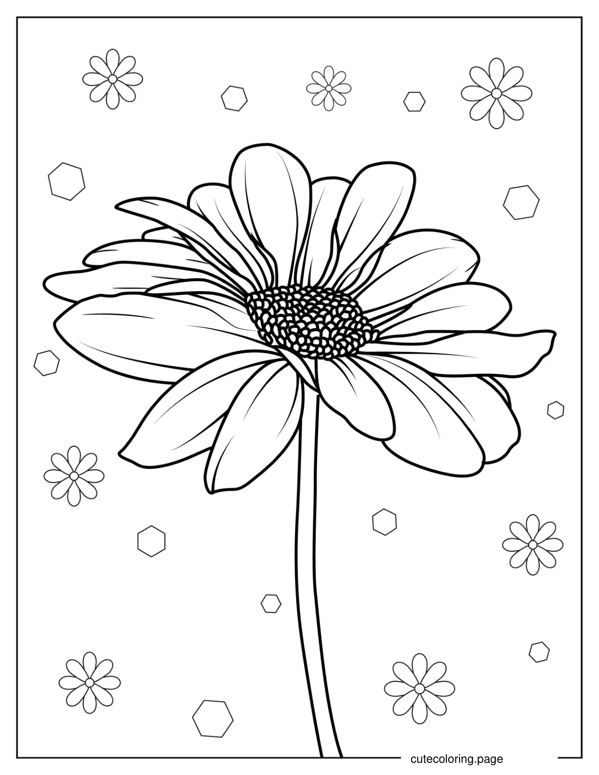 Gerbera Daisy Coloring Page coloring page