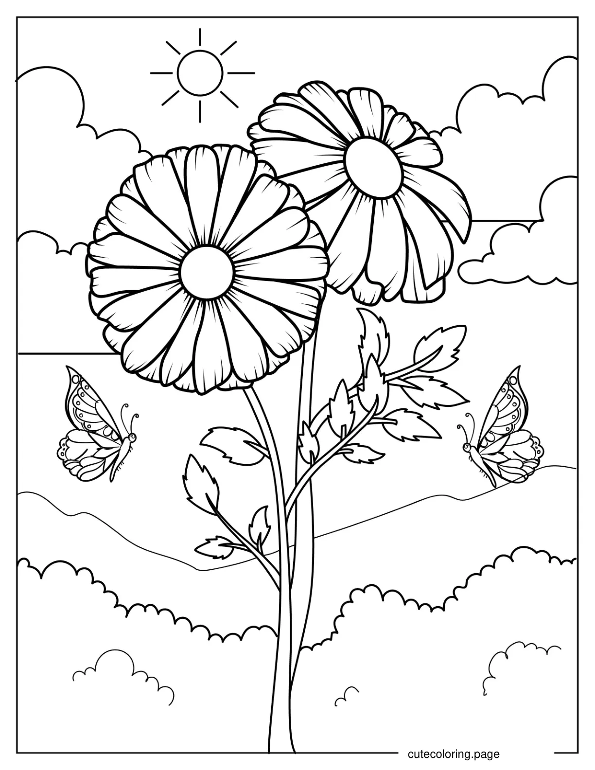 Realistic Daisy Flowers In The Wild coloring page