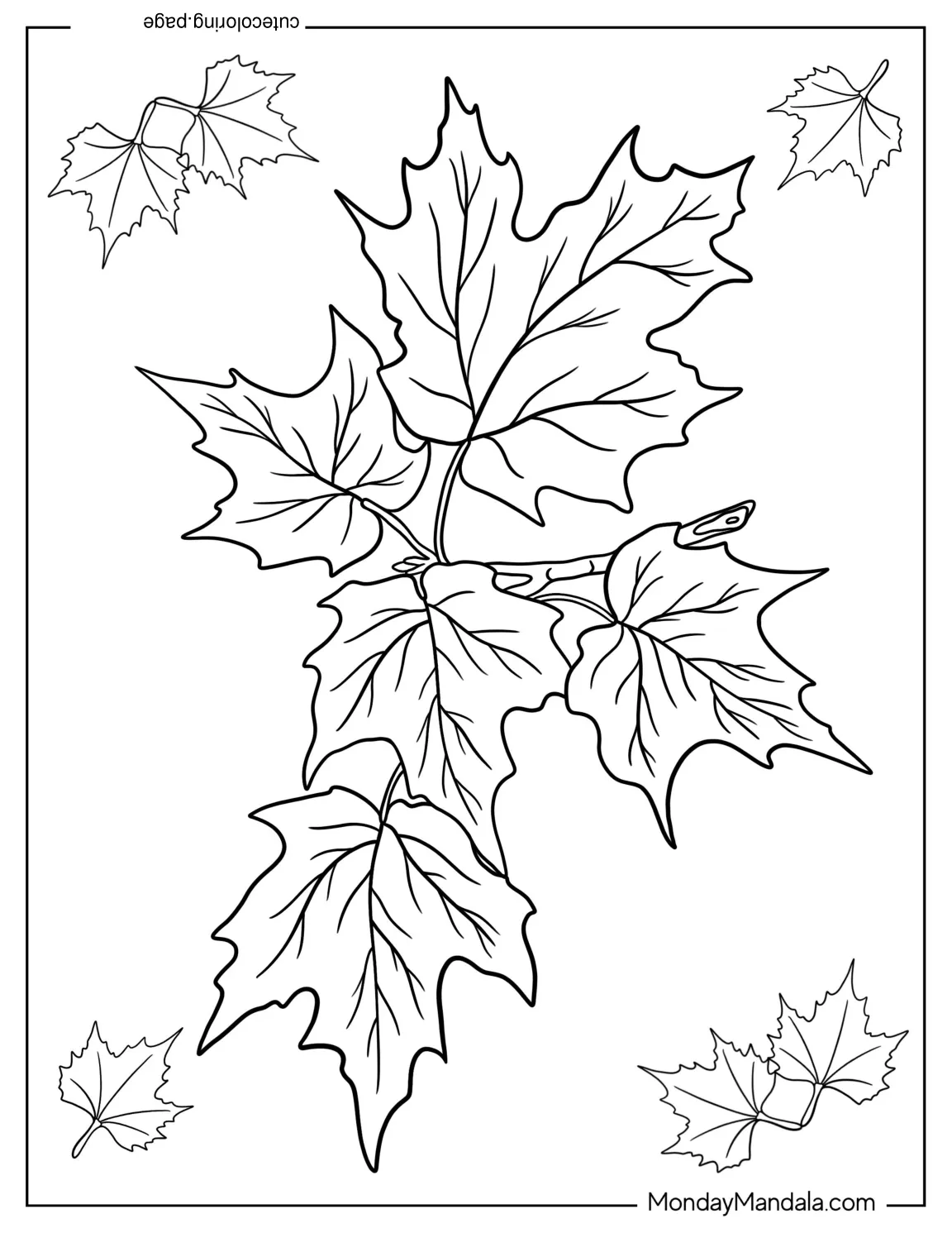 A Branch Full Of Fall Leaves coloring page