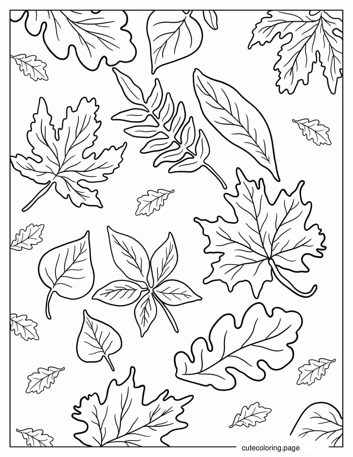 Assorted Fall Leaves To Color coloring page