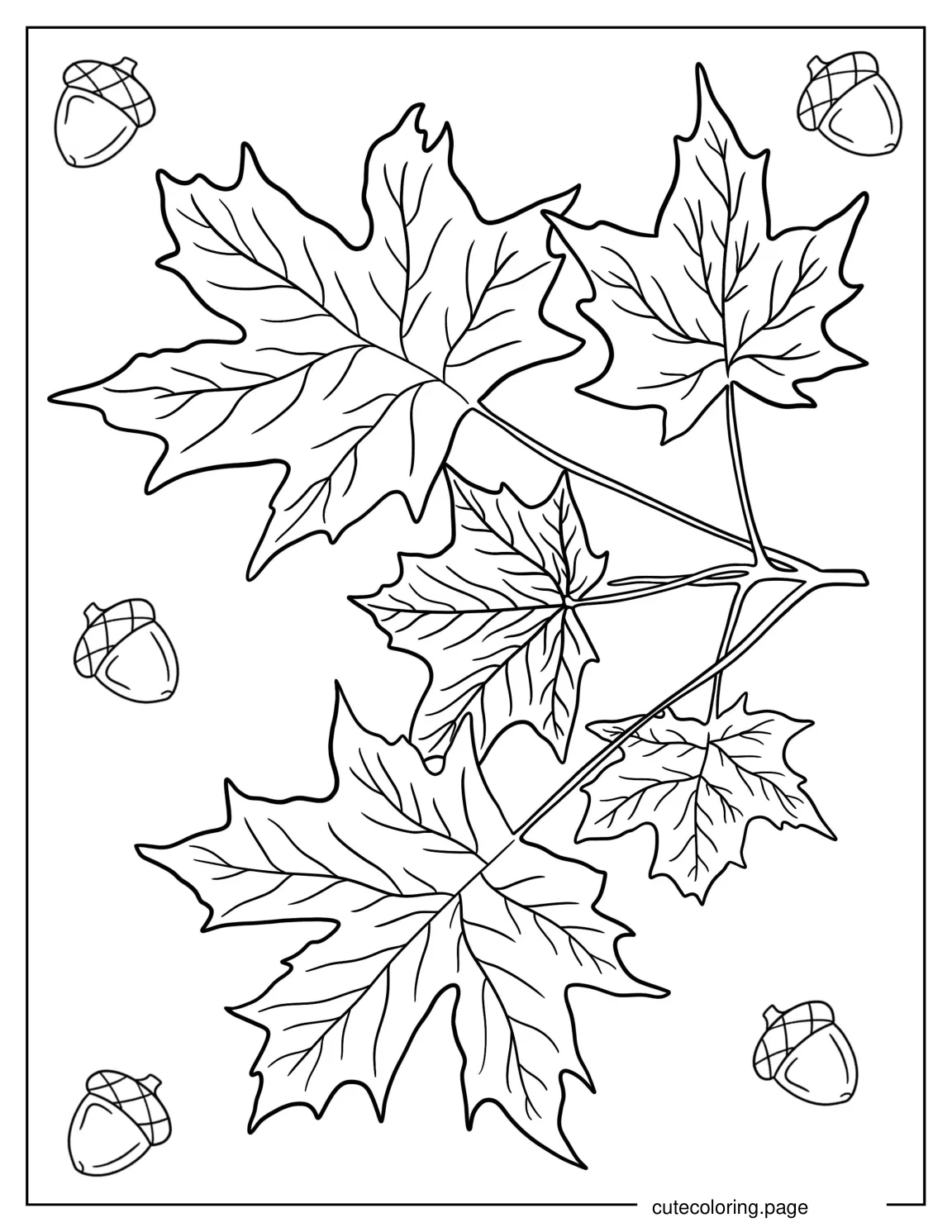 Coloring Sheet Of Fall Fall Leaves With Acorns coloring page