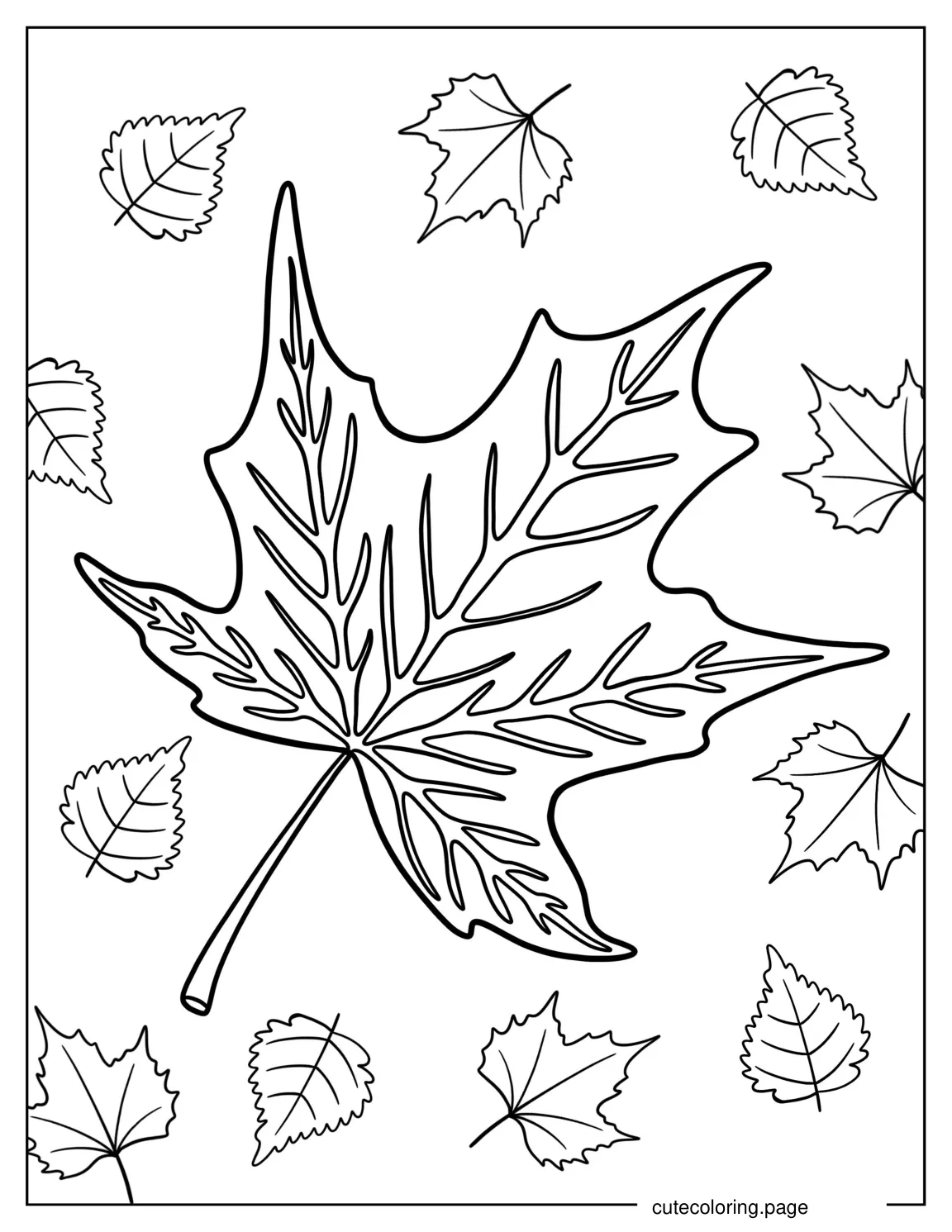 Detailed Fall Leaves Coloring Sheet coloring page