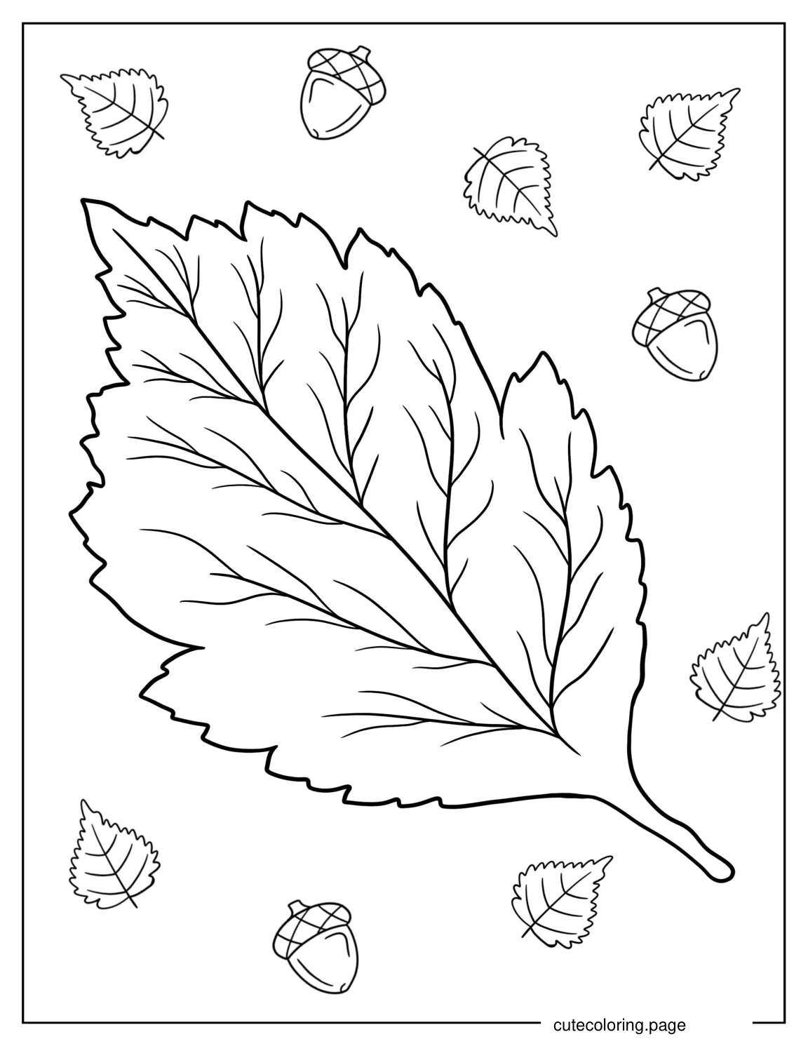 Easy American Hornbeam Leaf To Color For Preschoolers coloring page