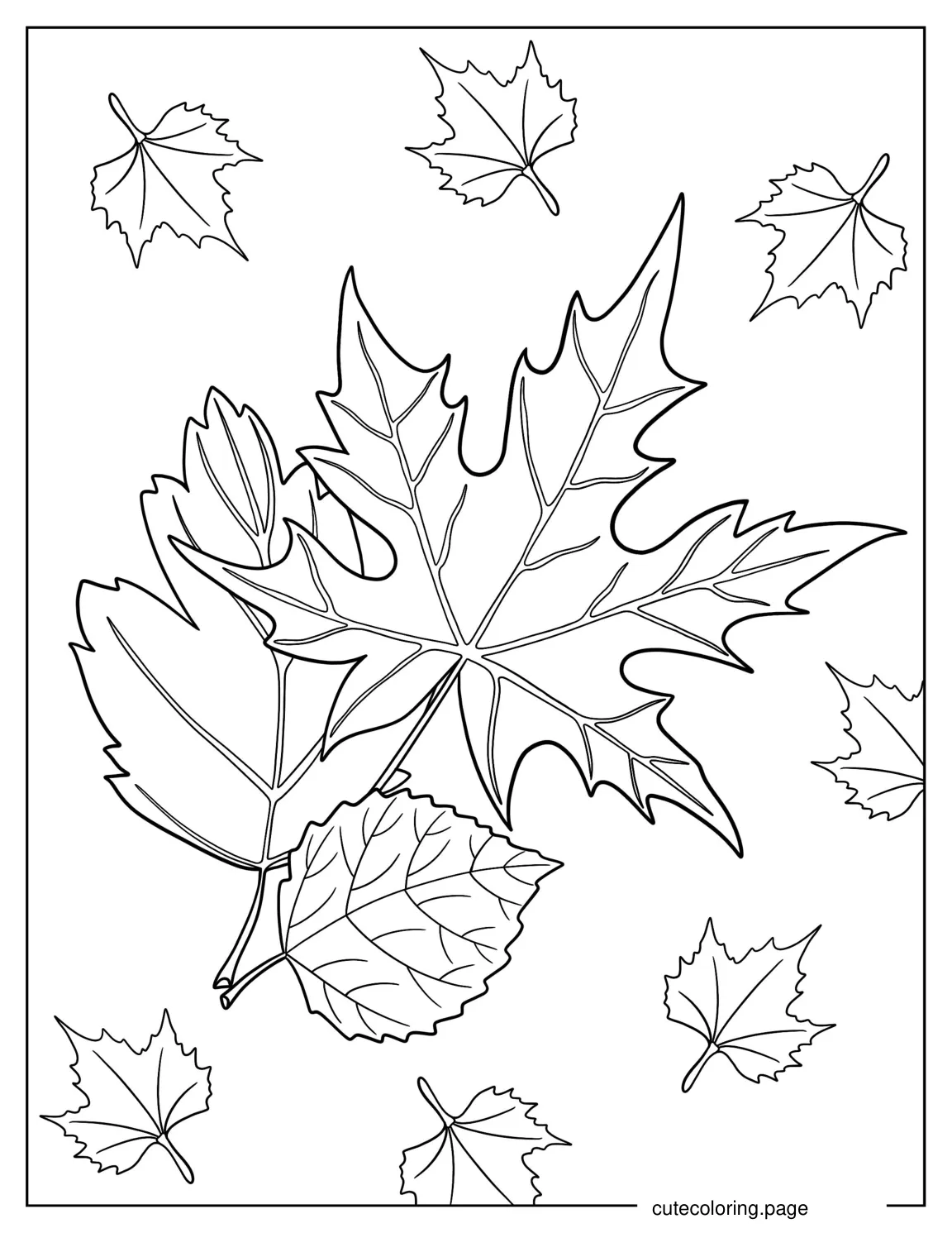 Fall Sugar Maple Leaves coloring page