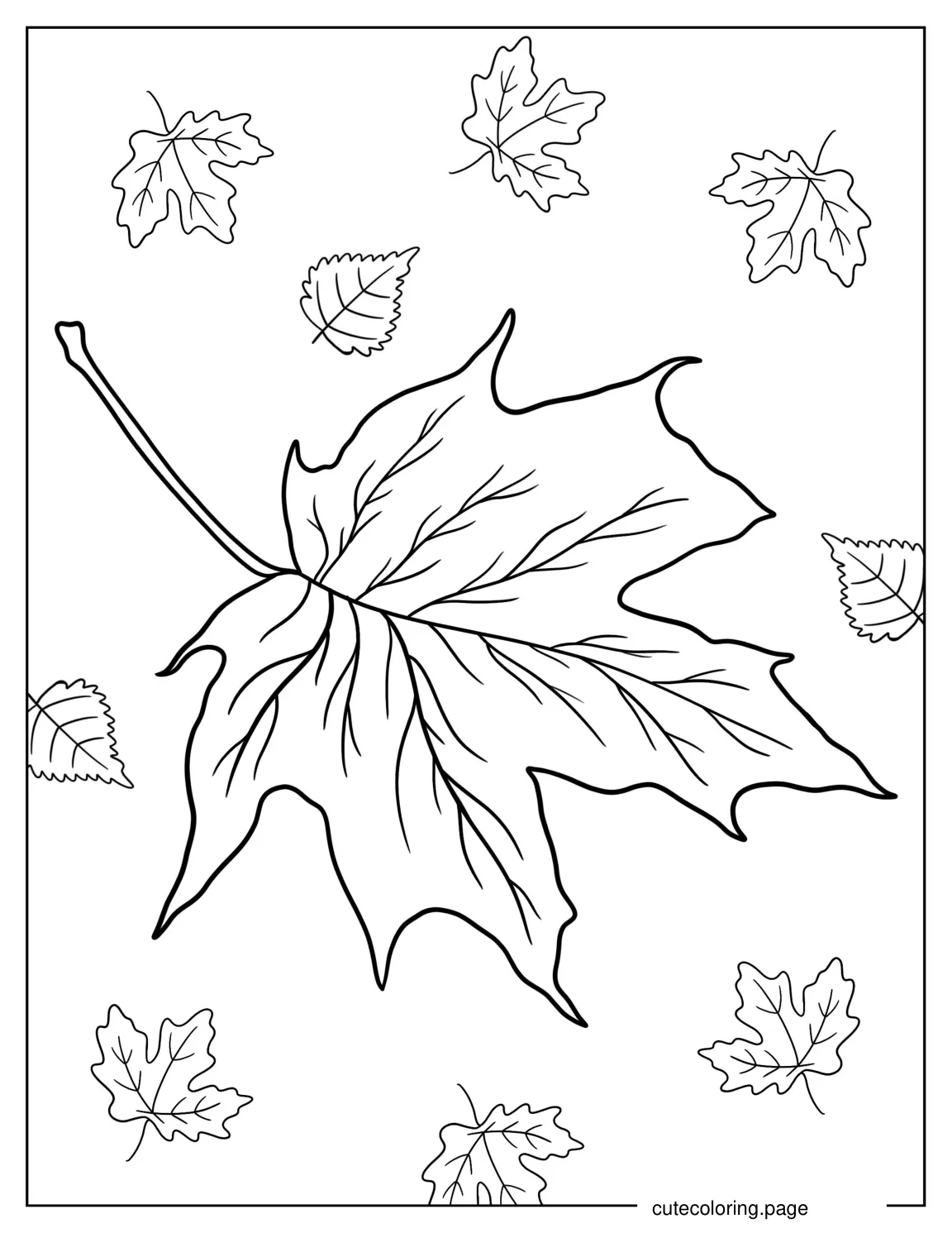 Realistic Fall Maple Leaf coloring page