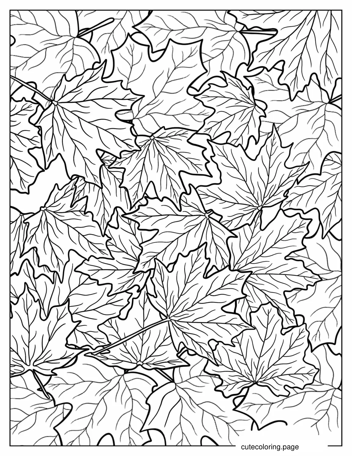 Sugar Maple Leaves On Ground To Color coloring page