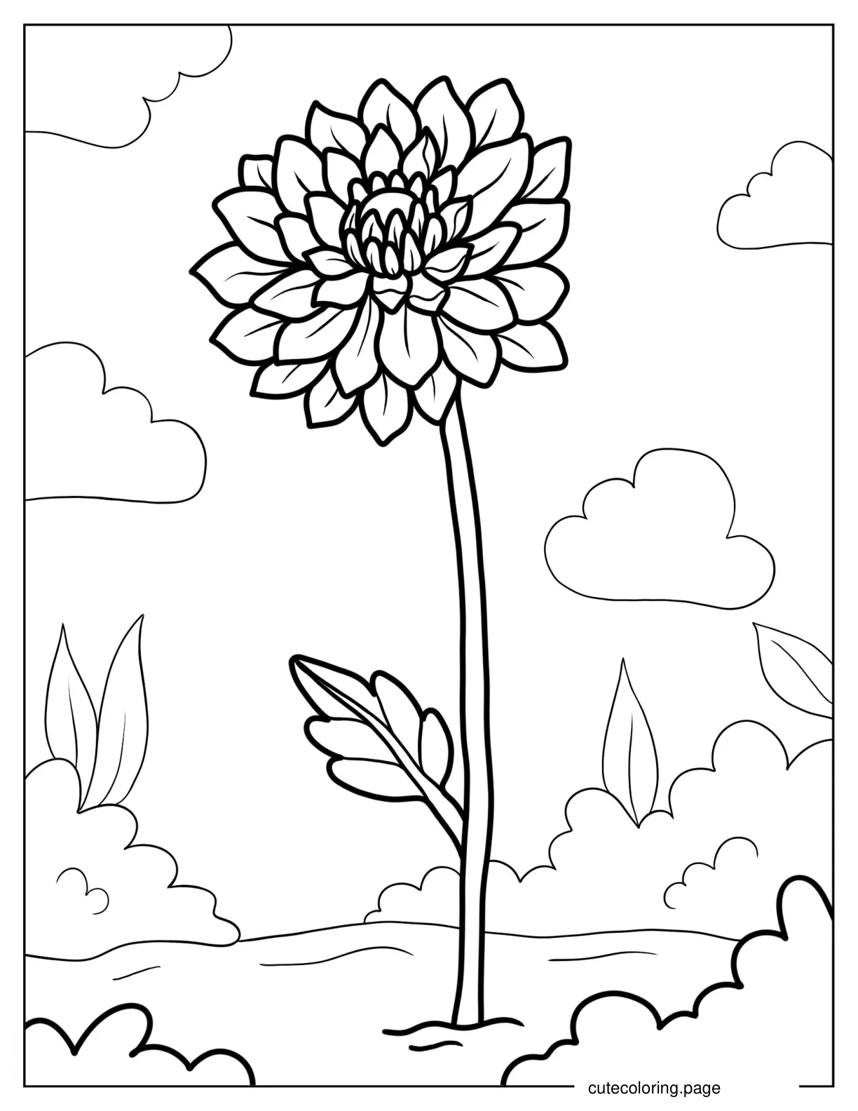 Chrysanthemum Flower In The Field Coloring Page coloring page