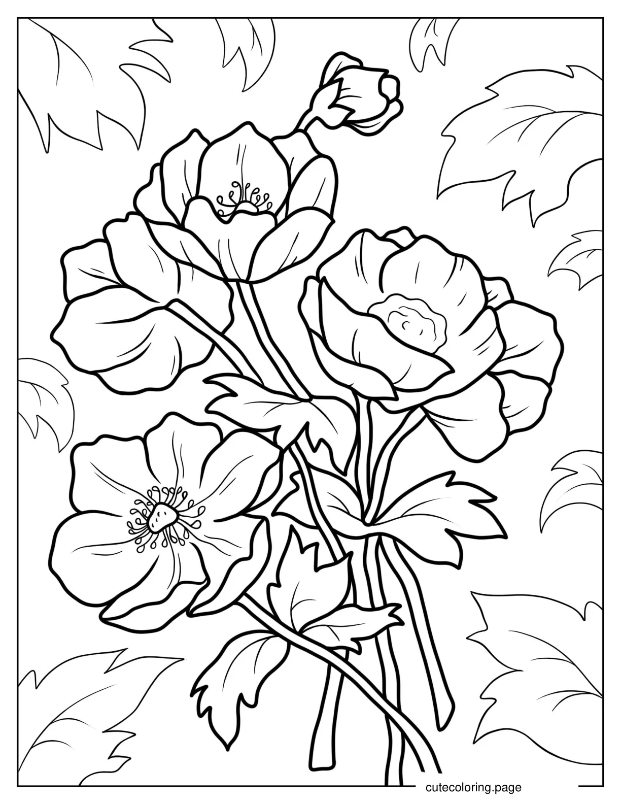 Coloring Sheet Of Poppy Anemones coloring page