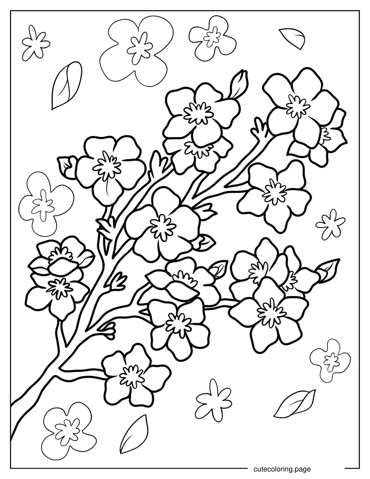 Easy Cherry Blossoms Coloring Page For Kids coloring page