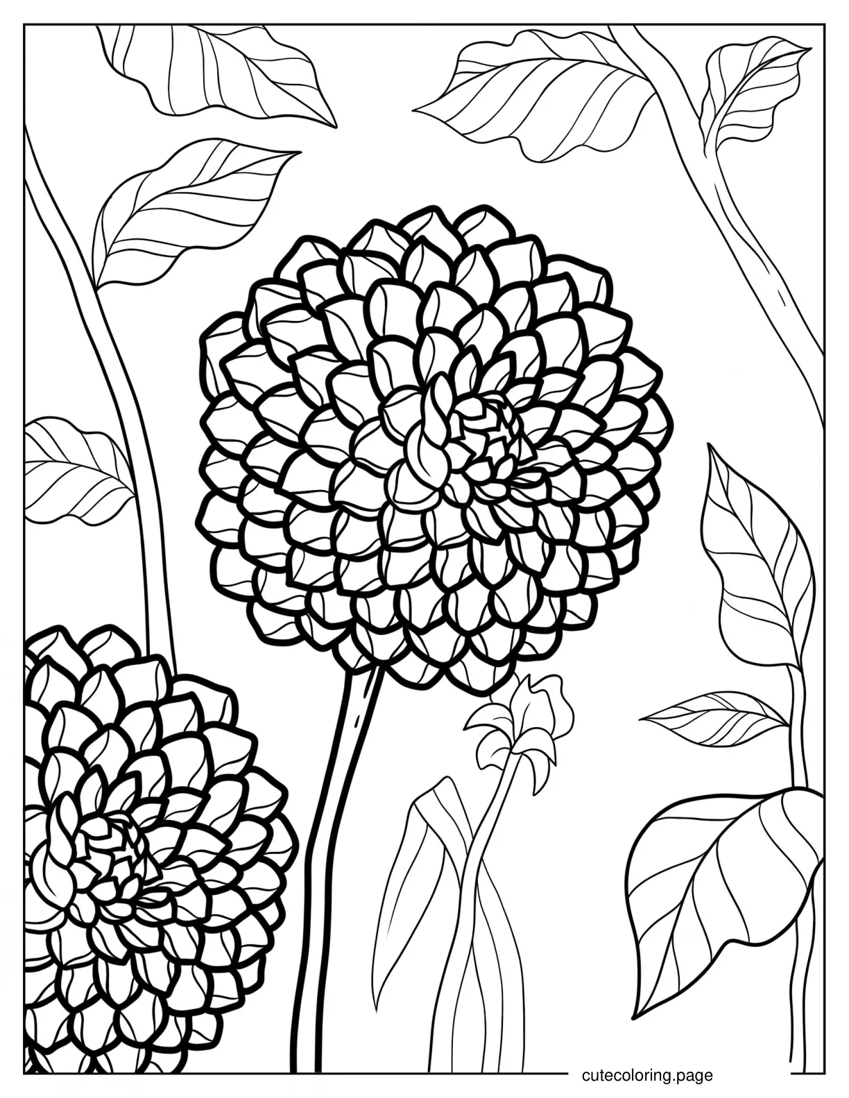 Linda_s Baby Dahlia Flower coloring page