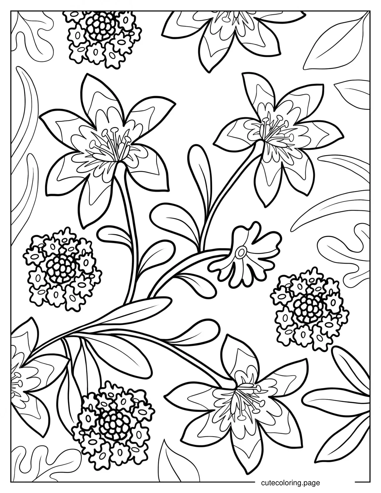 Madonna Lilies Coloring Page coloring page