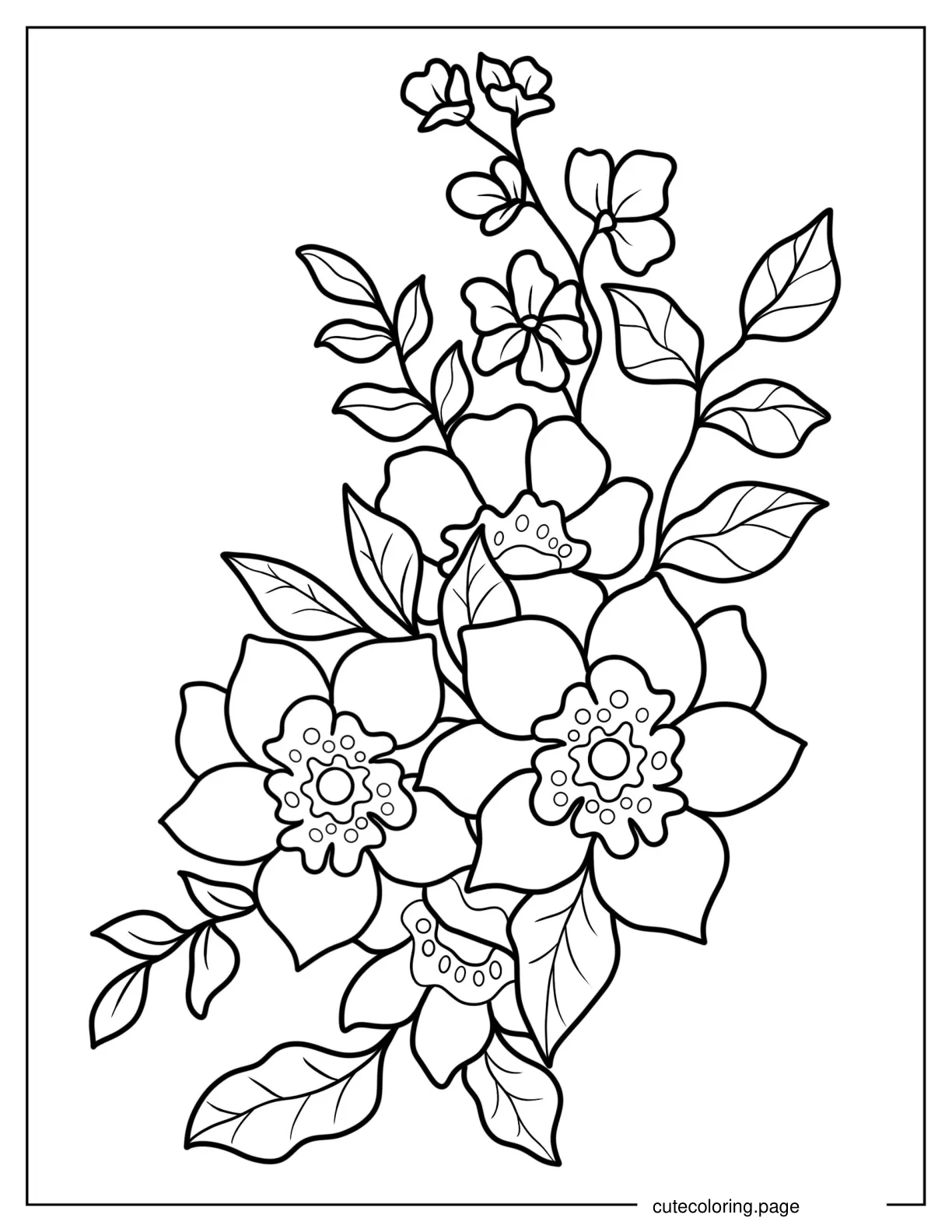 Mariposa Lilies Outline Coloring Sheet coloring page