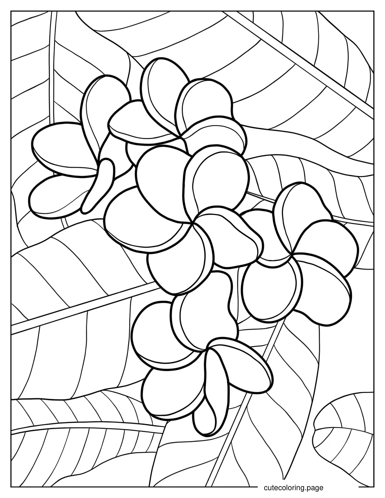 Plumerias On Large Leaves Coloring Sheet coloring page