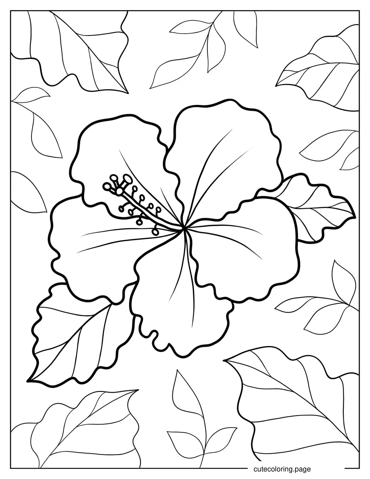 Shoeblackplant Flower In Full Bloom Coloring Sheet coloring page