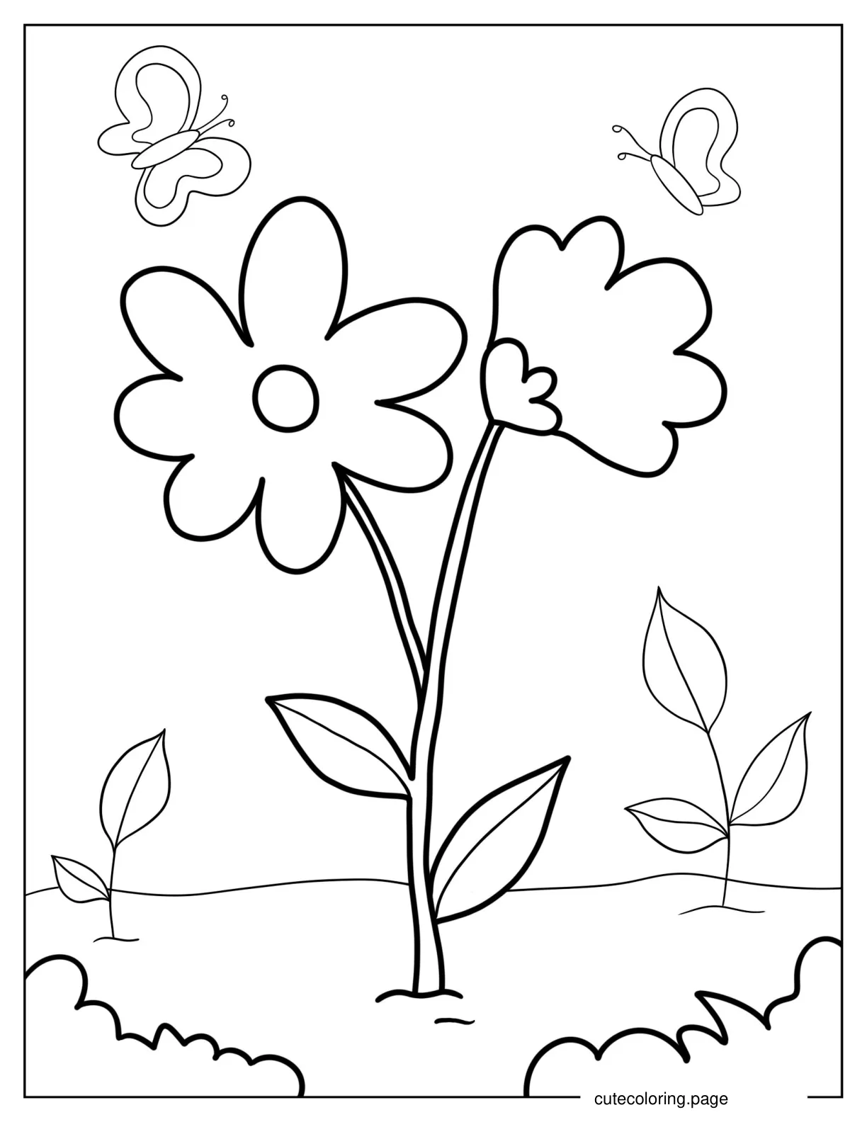 Simple Outline Of Daisies Coloring Sheet For Preschoolers coloring page