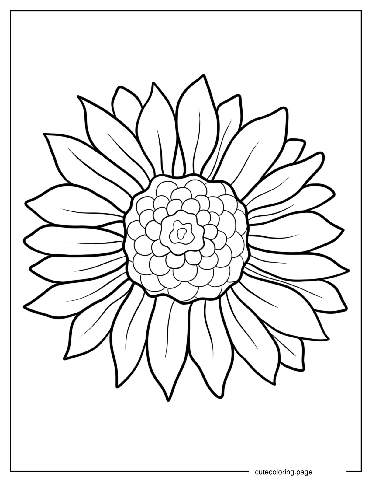 Sunflower Head Outline Coloring Sheet For Kids coloring page