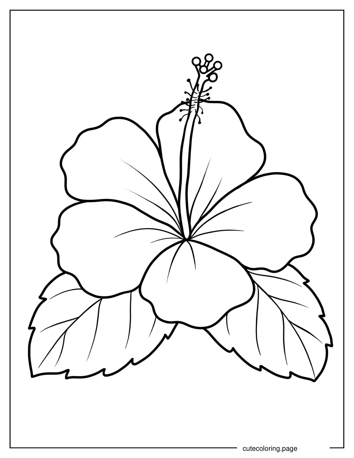 Swamp Rose Mallow Outline Coloring Page coloring page