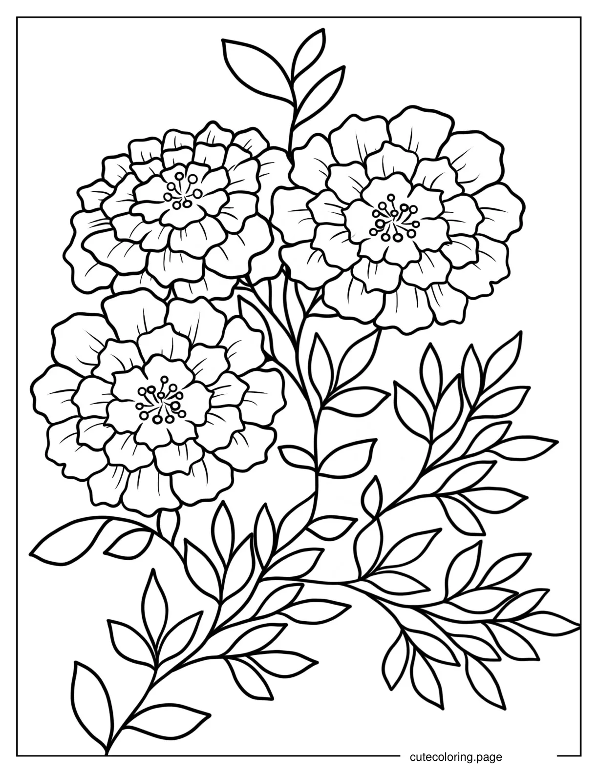 Three Marigold Flowers Coloring Page coloring page