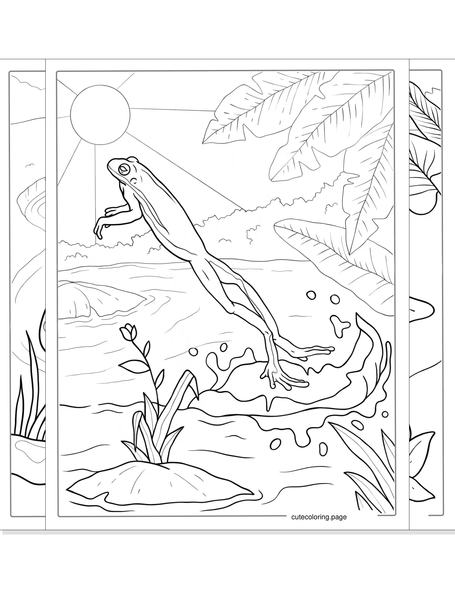 frog coloring pages coloring page