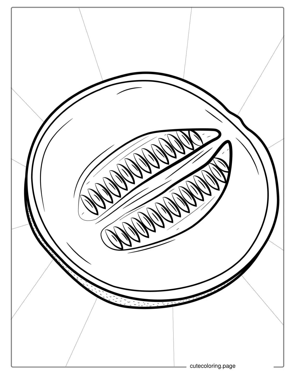 Easy Cantaloupe Coloring Page coloring page