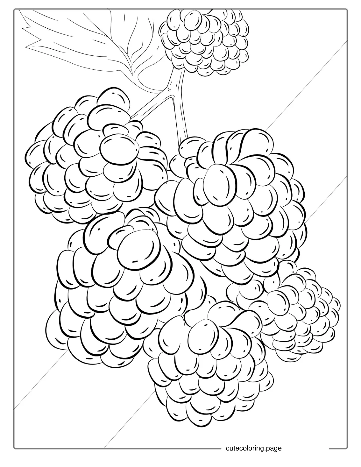 Raspberries Growing On A Bush Coloring coloring page