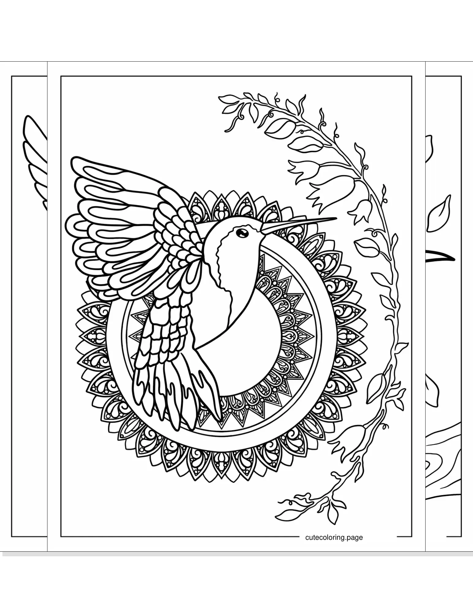 hummingbird coloring pages coloring page