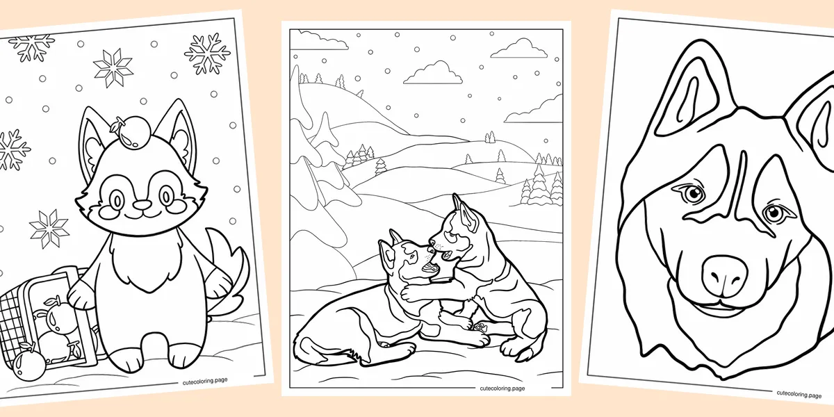 husky-coloring-pages