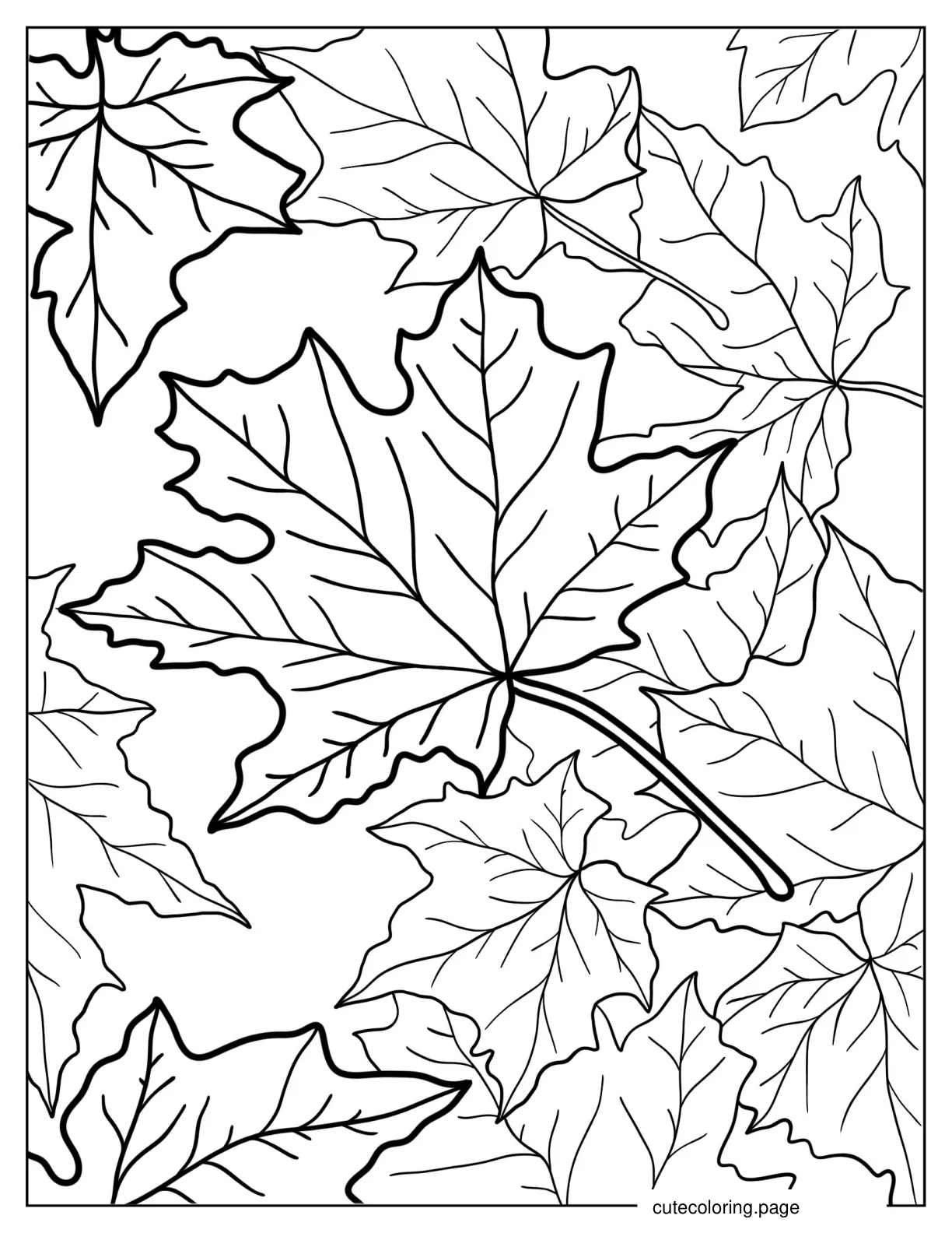 Autumn Maple Leaves coloring page