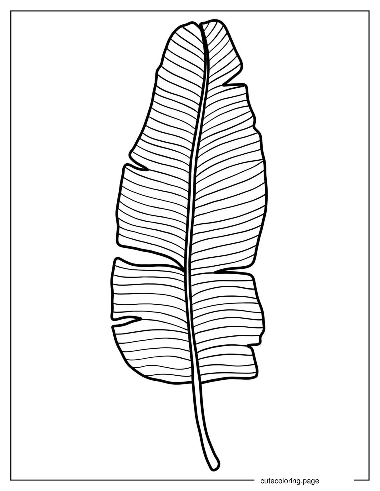 Banana Leaf Coloring Sheet coloring page