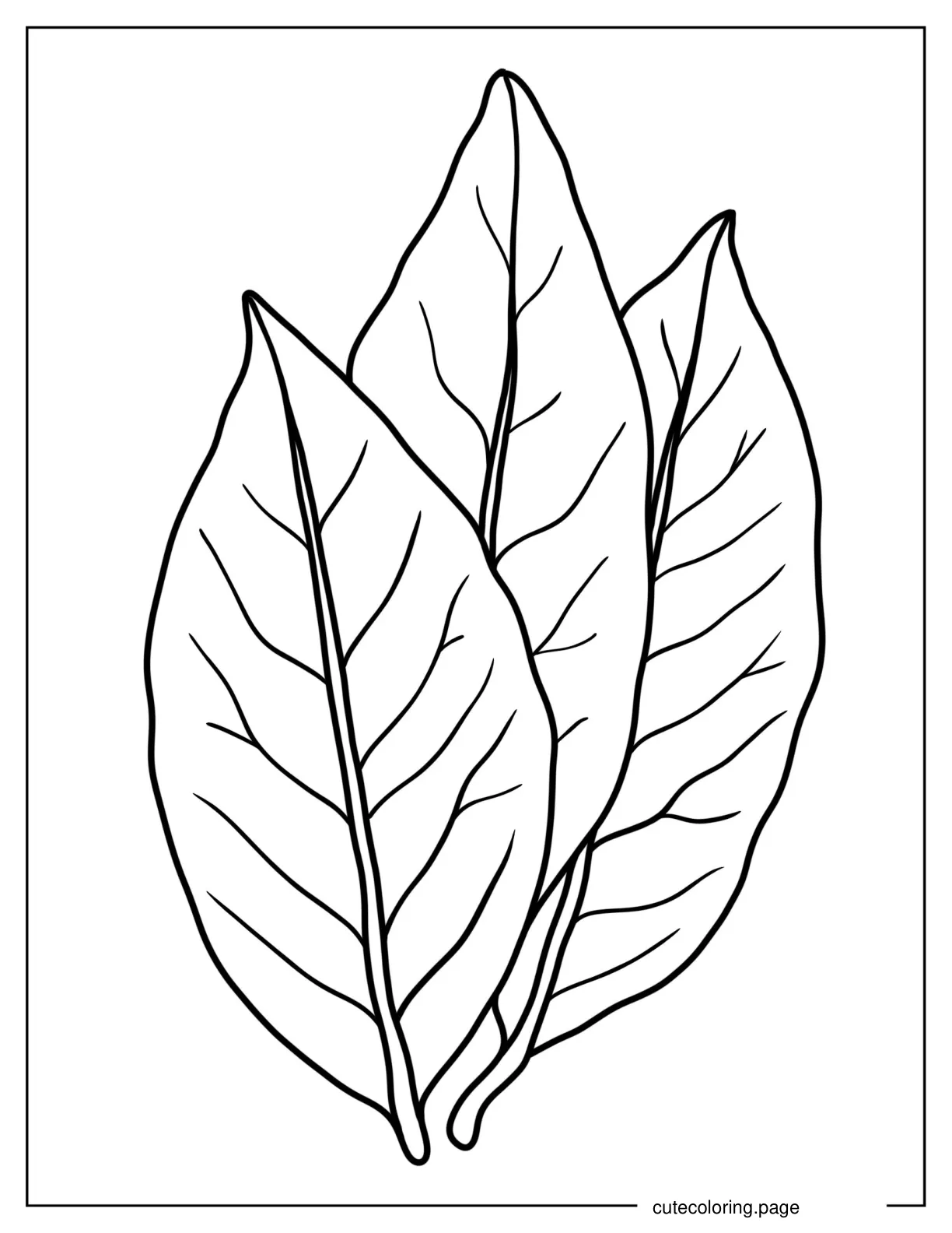 Bird Cherry Leaf Coloring Page coloring page