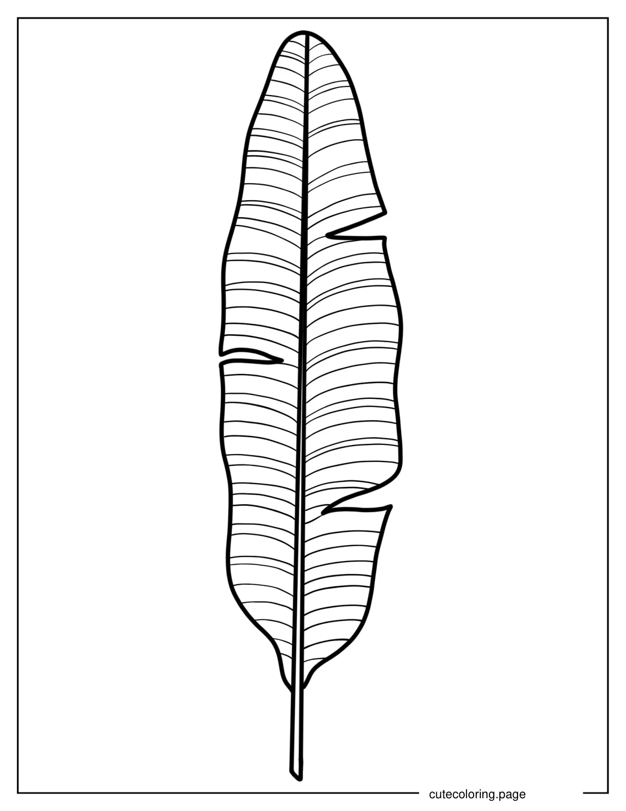 Bird Of Paradise Leaf Coloring Page coloring page