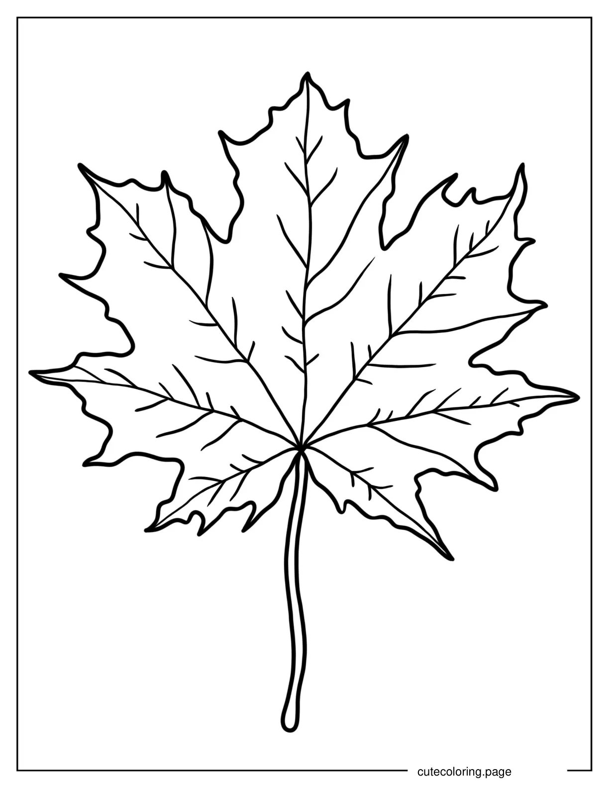 Canadian Maple Leaf coloring page