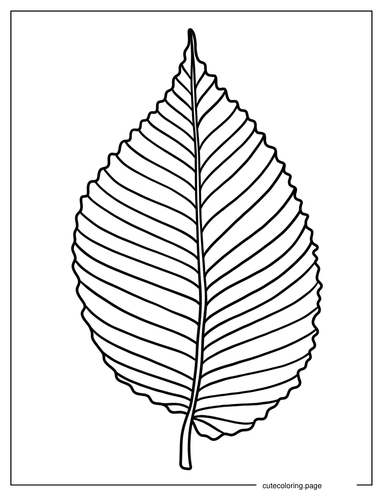 Elm Leaf To Color coloring page