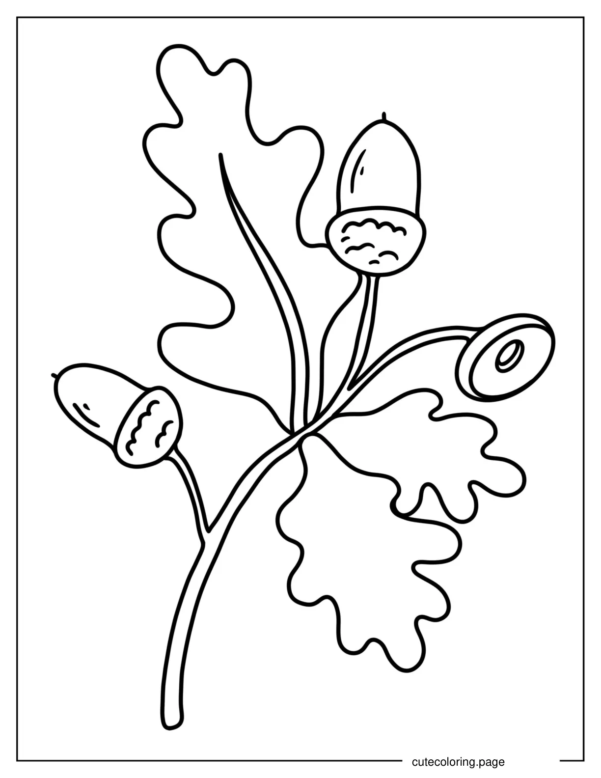 Simple Outline Of Oak Leaf With Acorns coloring page