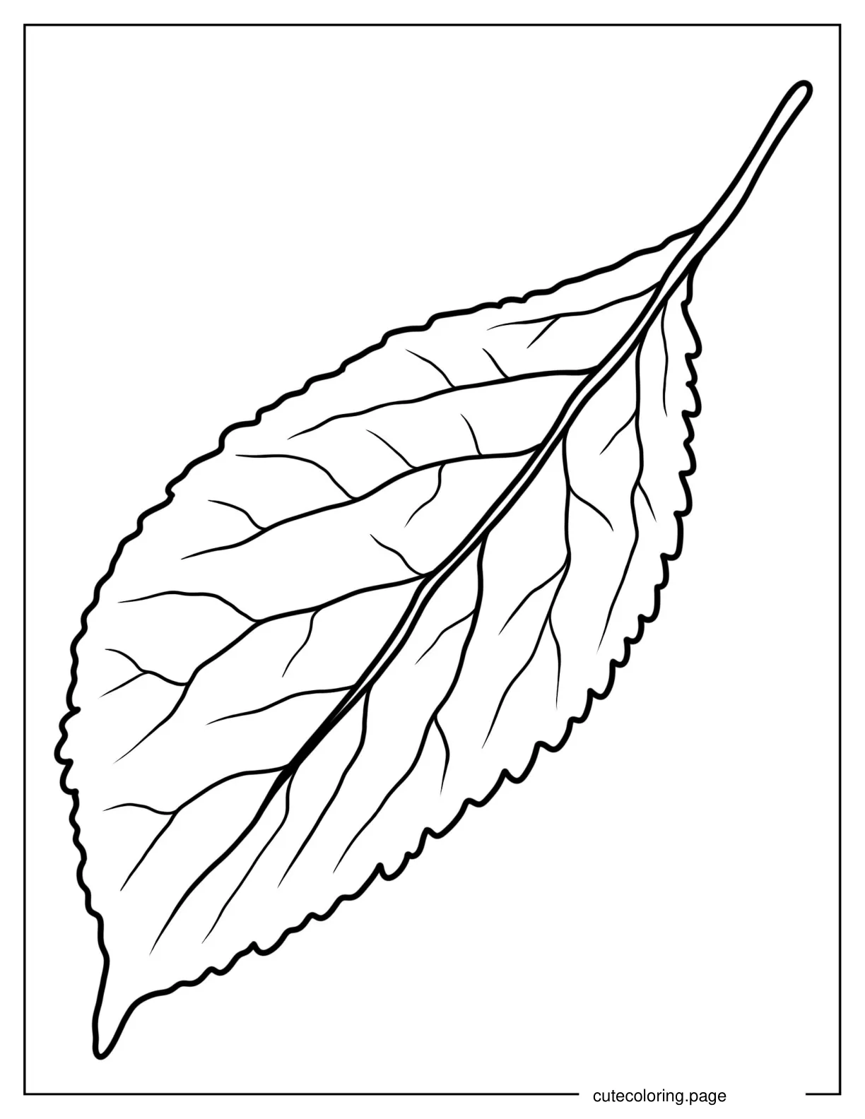 Wild Cherry Leaf coloring page