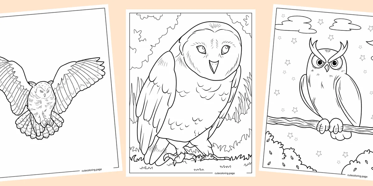 owl-coloring-pages