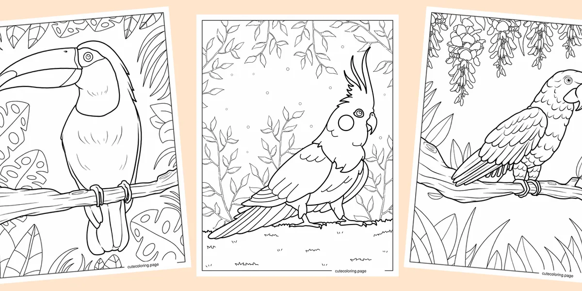 parrot-coloring-pages