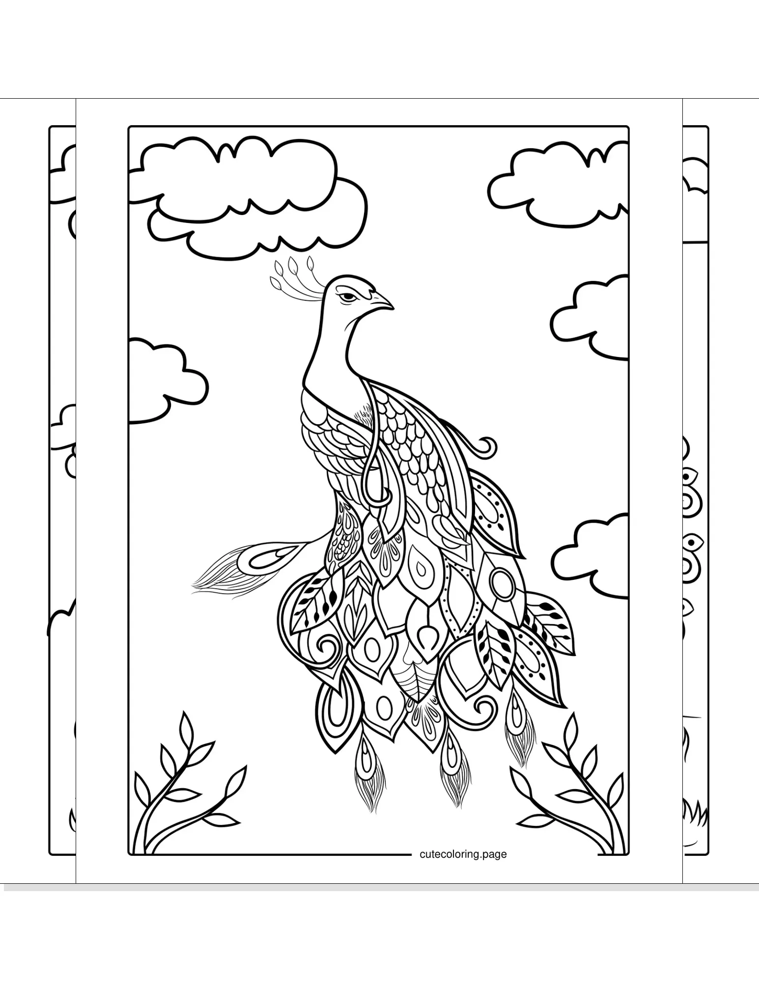 peacock coloring pages coloring page