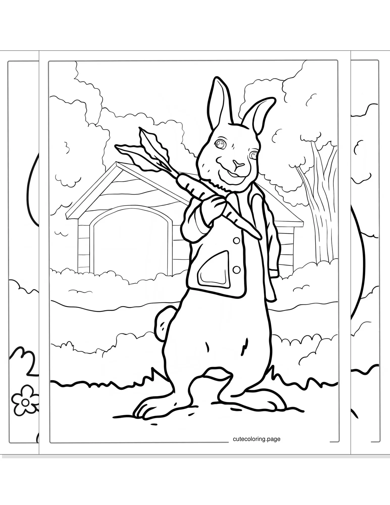 rabbit coloring pages coloring page