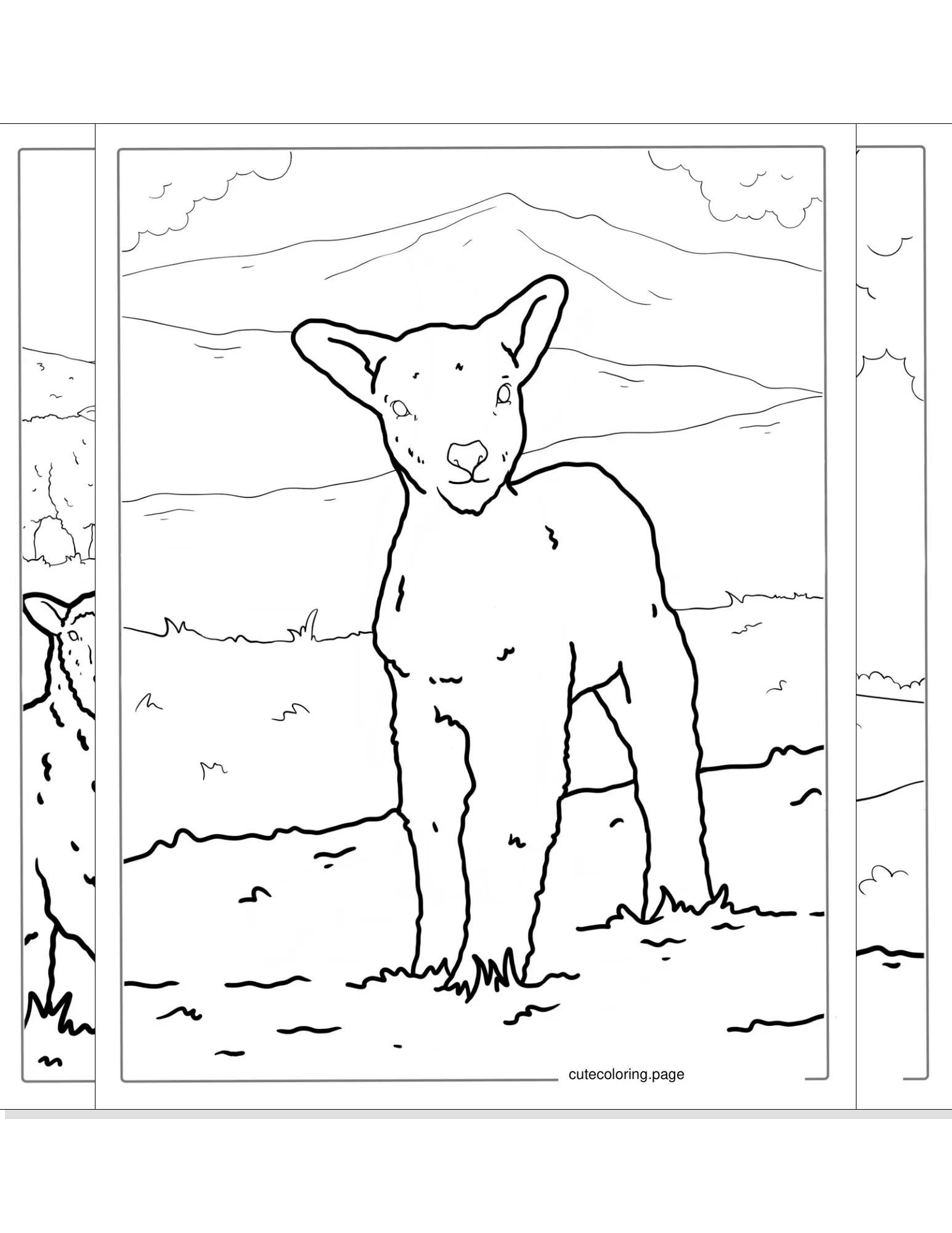 sheep coloring pages coloring page