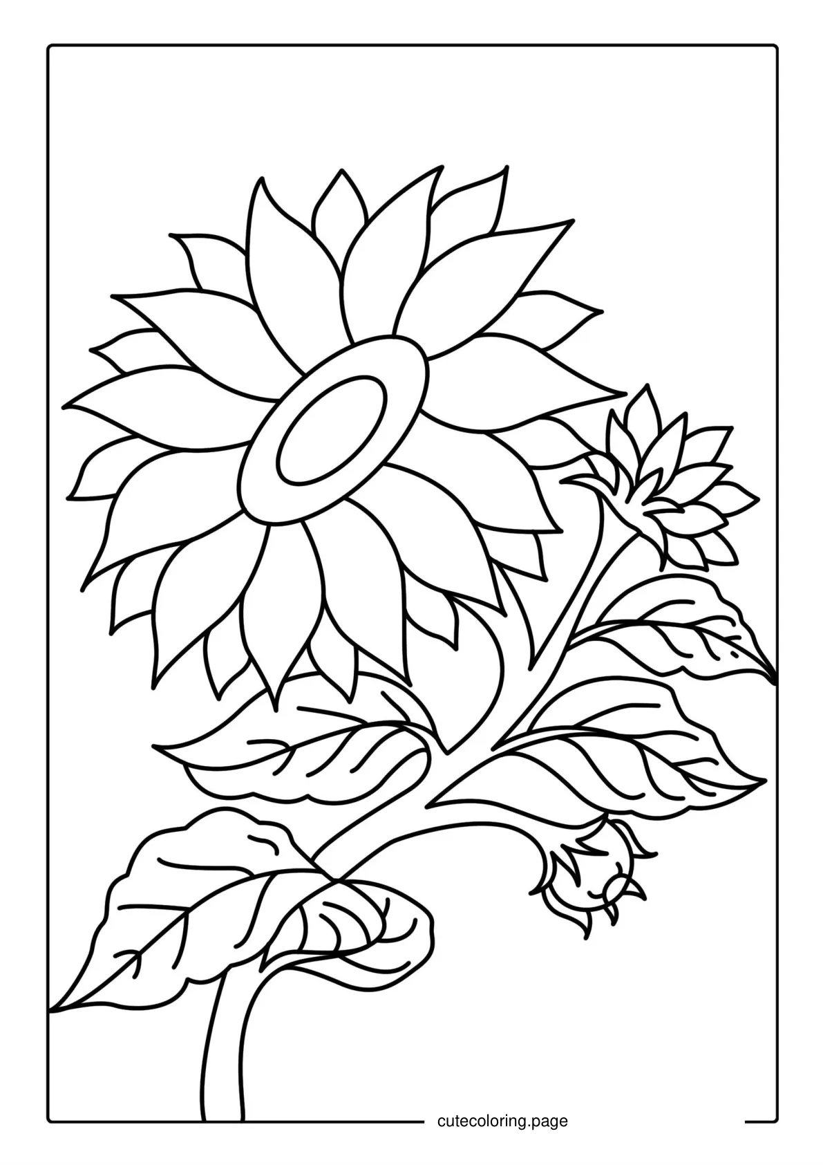 Artistic Sunflower Coloring Sheet coloring page