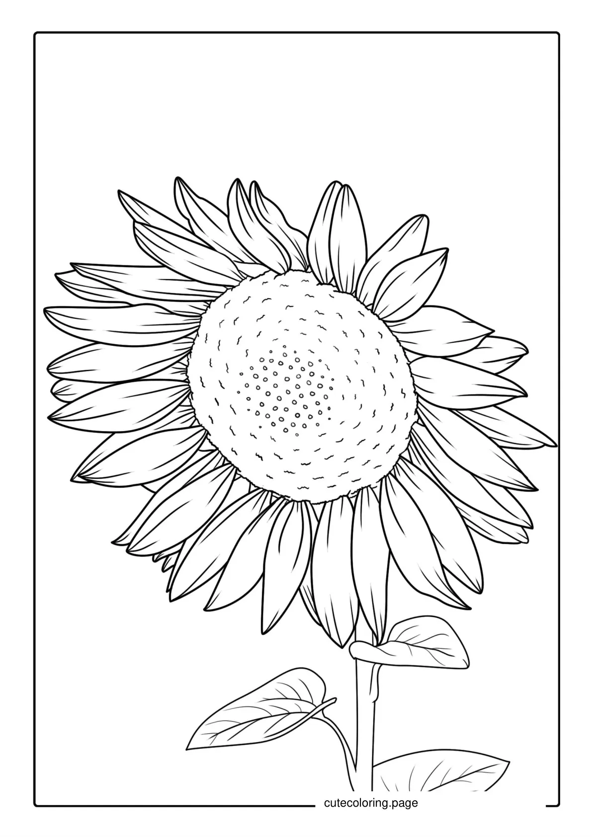 Big Sunflower Coloring Sheet coloring page