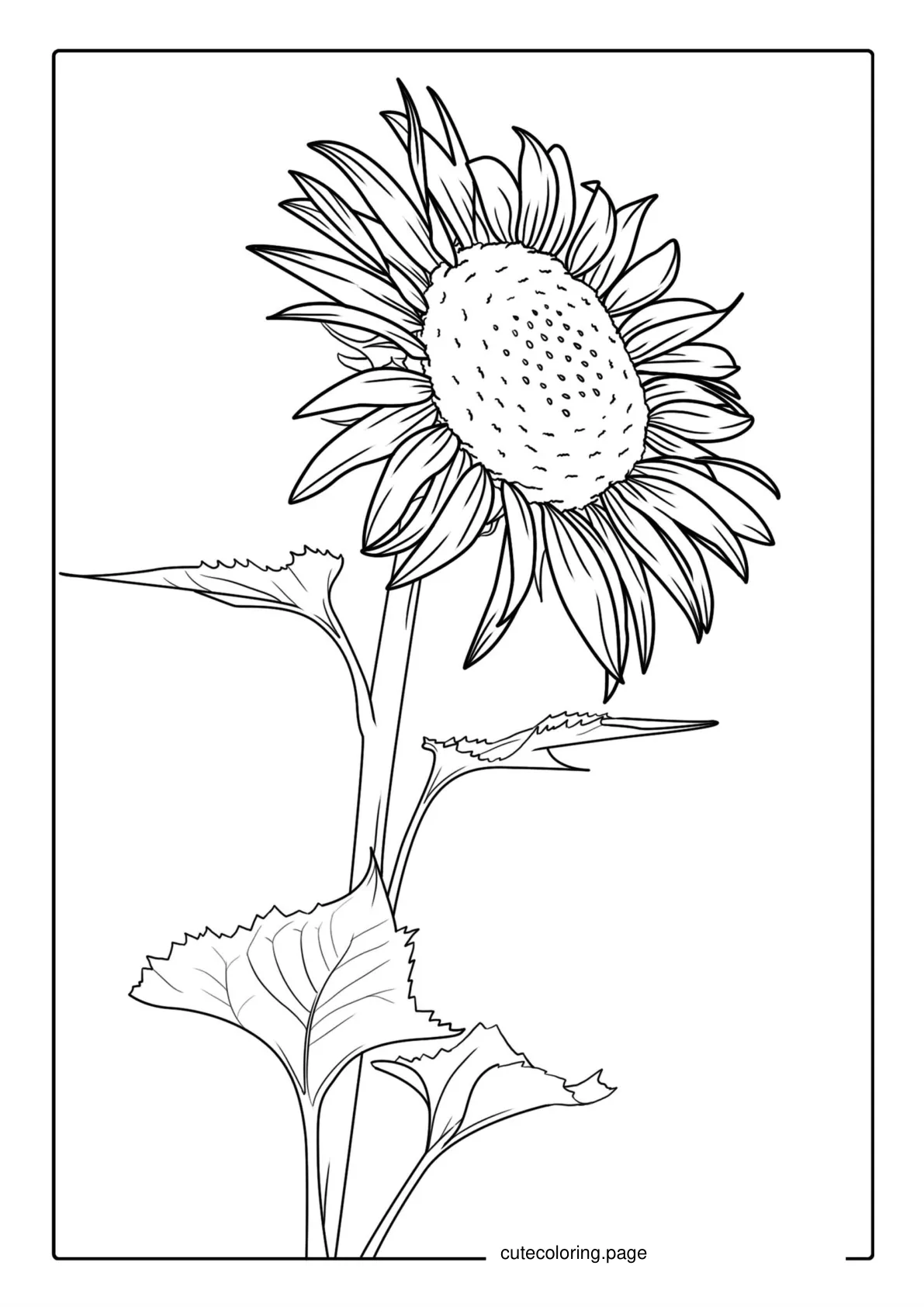 Big Sunflower During Summer Coloring coloring page